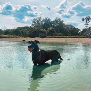 Meet your Posher, Brandon